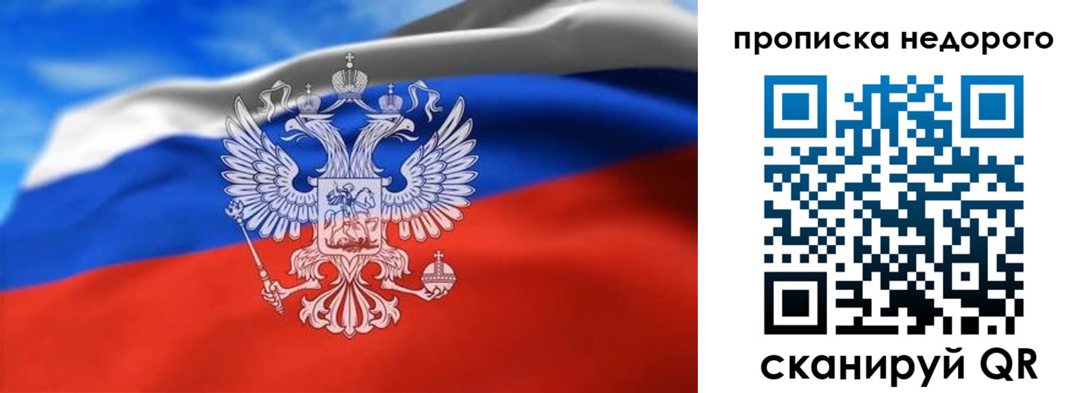 прописка штамп в Звенигово